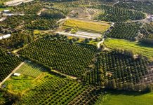 Cómo segregar una parcela sin que el notario te frene la escritura Vista aérea de fincas rústicas divididas en parcelas de cultivo