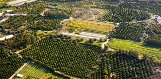 Cómo segregar una parcela sin que el notario te frene la escritura Vista aérea de fincas rústicas divididas en parcelas de cultivo