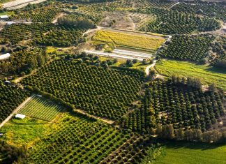 Cómo segregar una parcela sin que el notario te frene la escritura Vista aérea de fincas rústicas divididas en parcelas de cultivo
