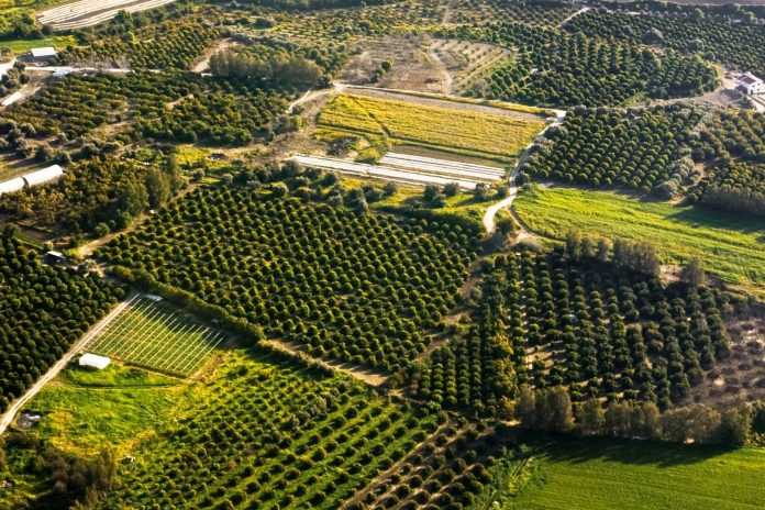 Fincas divididas en parcelas Vista aérea de fincas rústicas divididas en parcelas de cultivo